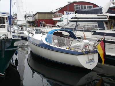 Snigelhus kommt aus dem Wasser