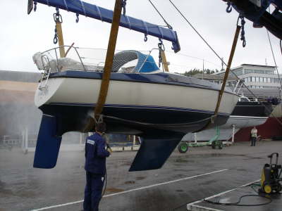Snigelhus kommt aus dem Wasser