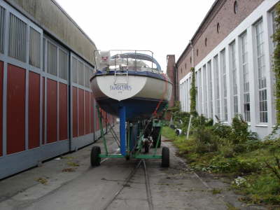 Snigelhus kommt aus dem Wasser