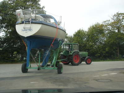 Snigelhus kommt aus dem Wasser